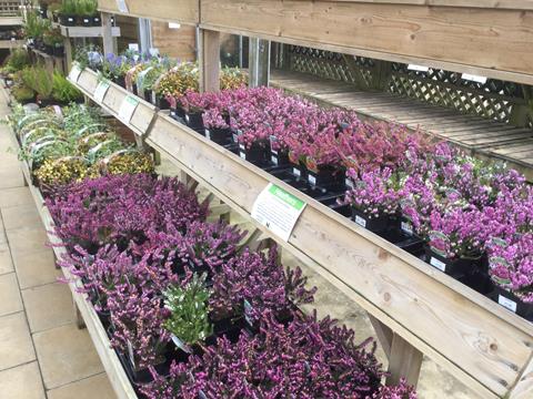 Now is the time to get planting! Come and see us for a great selection of #seedpotatoes #beddingplants #herbs #heathers #shrubs #bushes - our friendly team of gardening experts will help you make the right choices for your garden.
