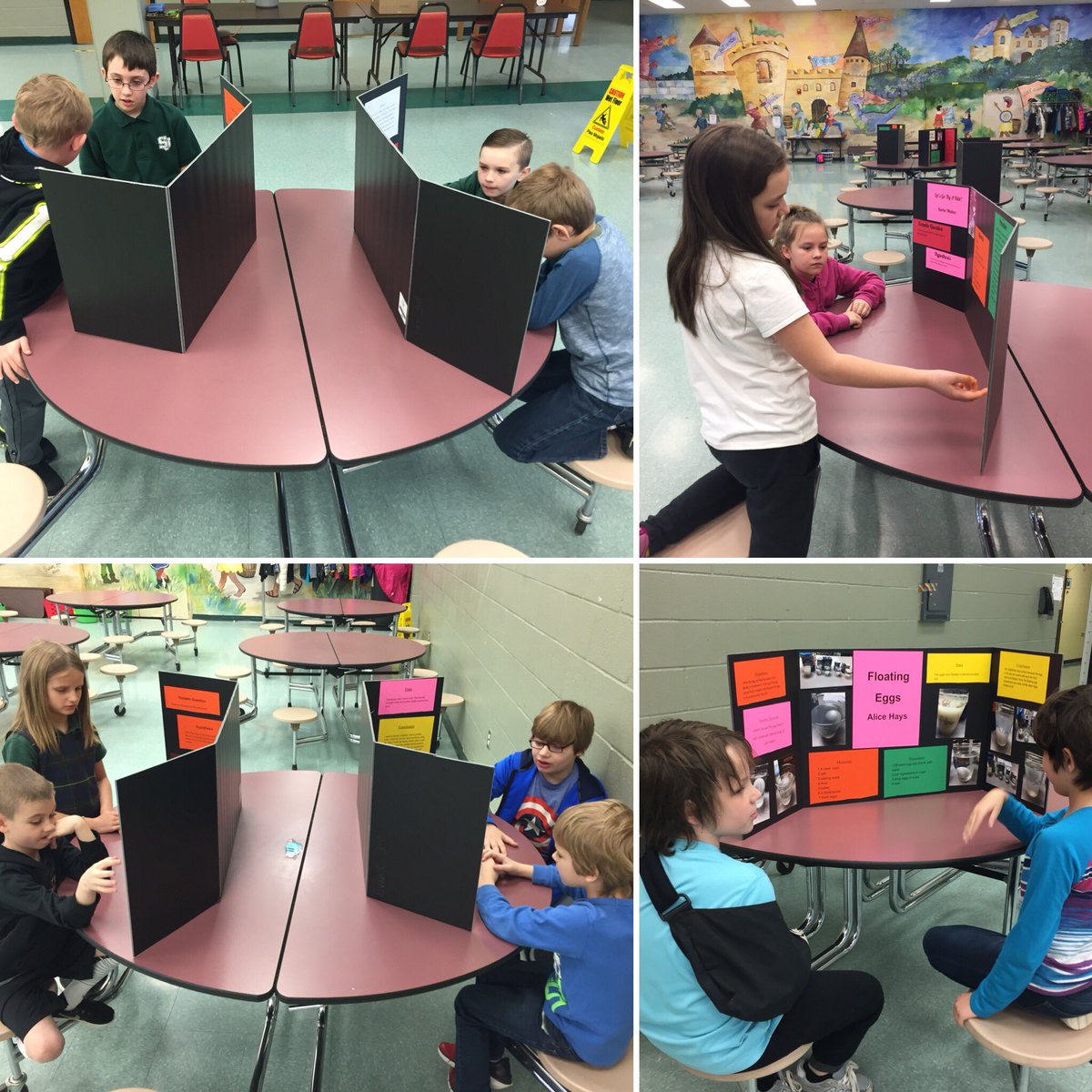 sross1967's tweet photo. 2nd and 3rd grade PAGES practicing science talk for our Science Fair on Thursday! @KnightsR7 https://t.co/H1834mWjnq