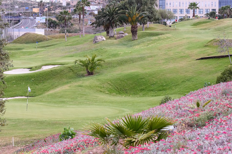 LP_GOLF's tweet photo. Próximo fin de semana, días 7 y 8 de abril de 2018, Campeonato de Canarias individual de Pitch &amp; Putt en @LP_GOLF ⛳⛳⛳⛳
https://t.co/3slgzllALx https://t.co/3ZnM0EWzB9