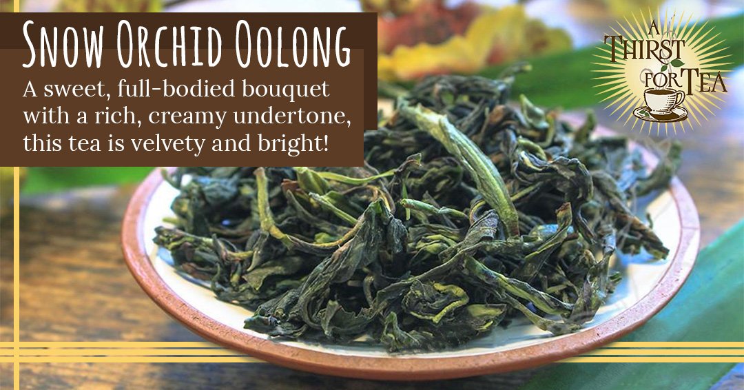 AThirstForTea's tweet photo. It took Tea Master Leo Kwan over a decade to perfect the processing of this choice tea! The result is the roundest, smoothest, and most seductively fragrant oolong ever known- buy today! 
#AThirstForTea #oolongtea #teamaster #qualitytea #tealeaves https://t.co/gC29E0oCLs