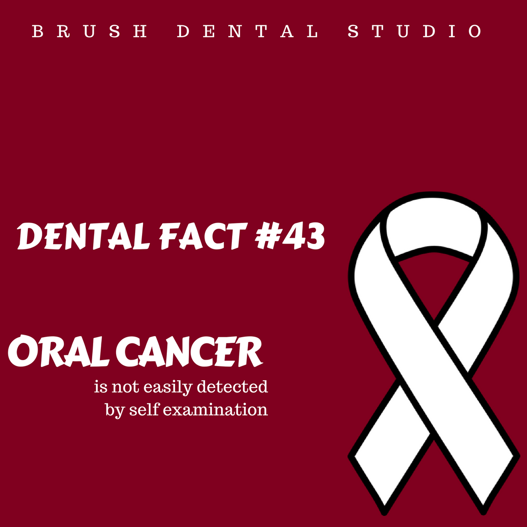 BrushDental's tweet photo. Happy Toothsday! April is Oral Cancer Awareness Month! https://t.co/ff0VIblhqe
