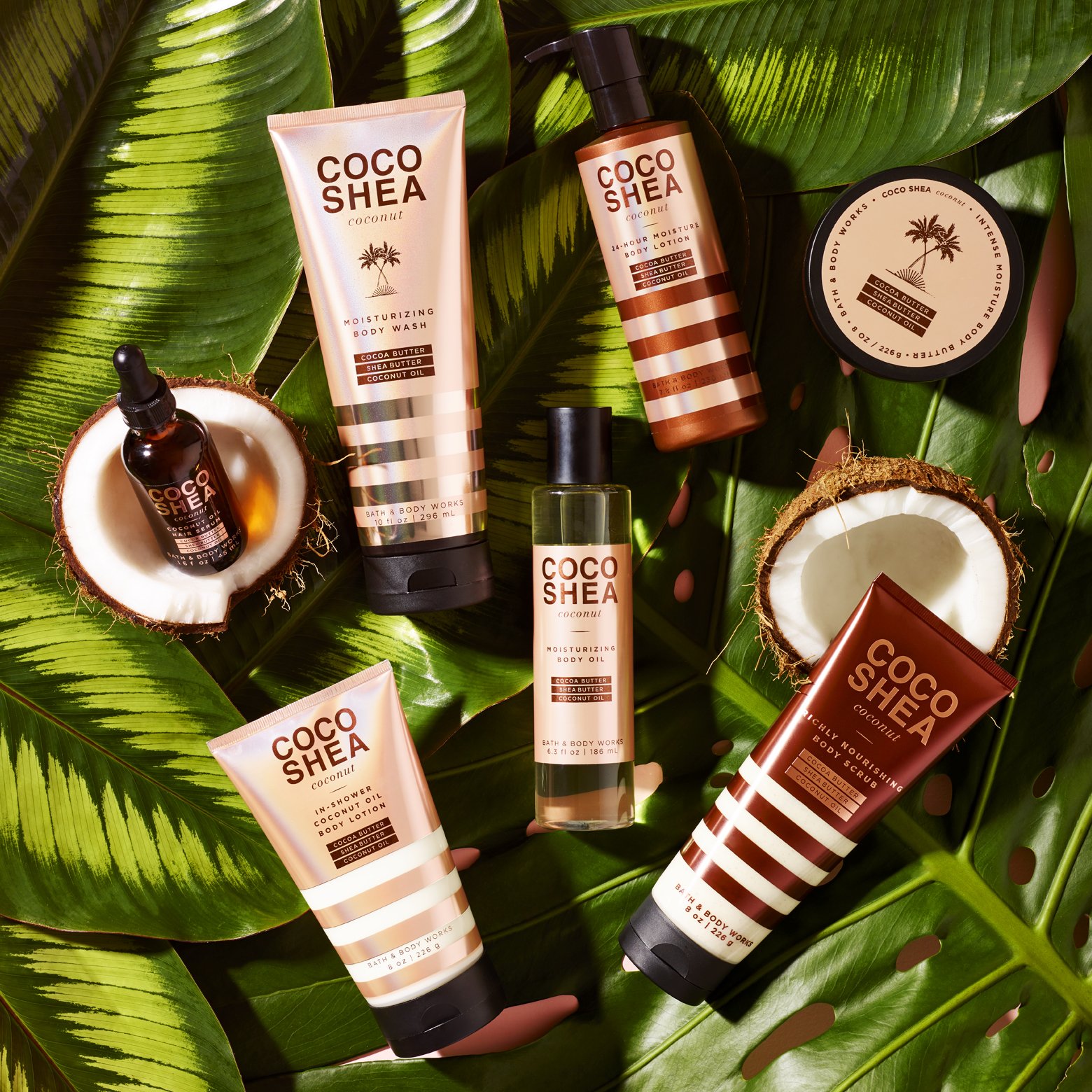 cocoshea coconut
