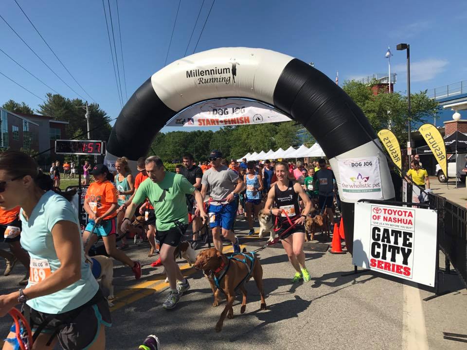 GateCitySeries's tweet photo. Start a Couch to 5K plan this week and be ready for the June 9th New England Dog Jog https://t.co/tKtT34VhPq #c25k #Couchto5K #runningwithdogs https://t.co/RO5KfUKJb6