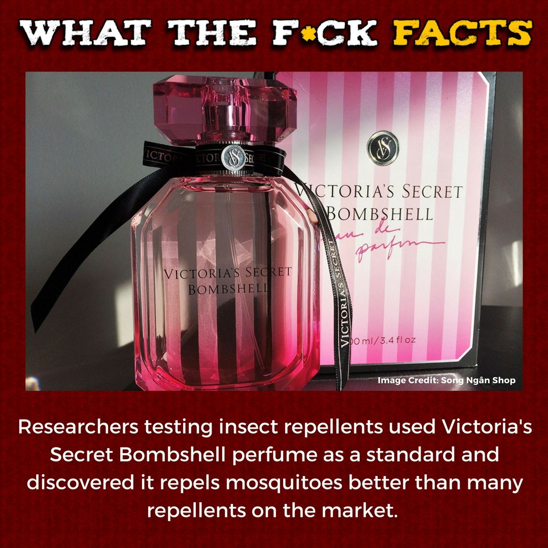 WhatTheFFacts's tweet photo. https://t.co/kNACLwmFaA