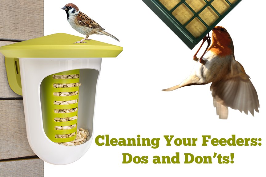Our friends at <a href="/SuetToGo/">Suet To Go Wild Bird Food</a> have put together a great set of helpful do's and don'ts for keeping your bird feeders clean: unipet.co.uk/cleaning-bird-…