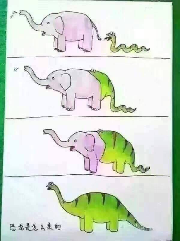 NatureMajesty's tweet photo. Where Dinosaurs came from :o 😂 https://t.co/Kvz2j1eIGw