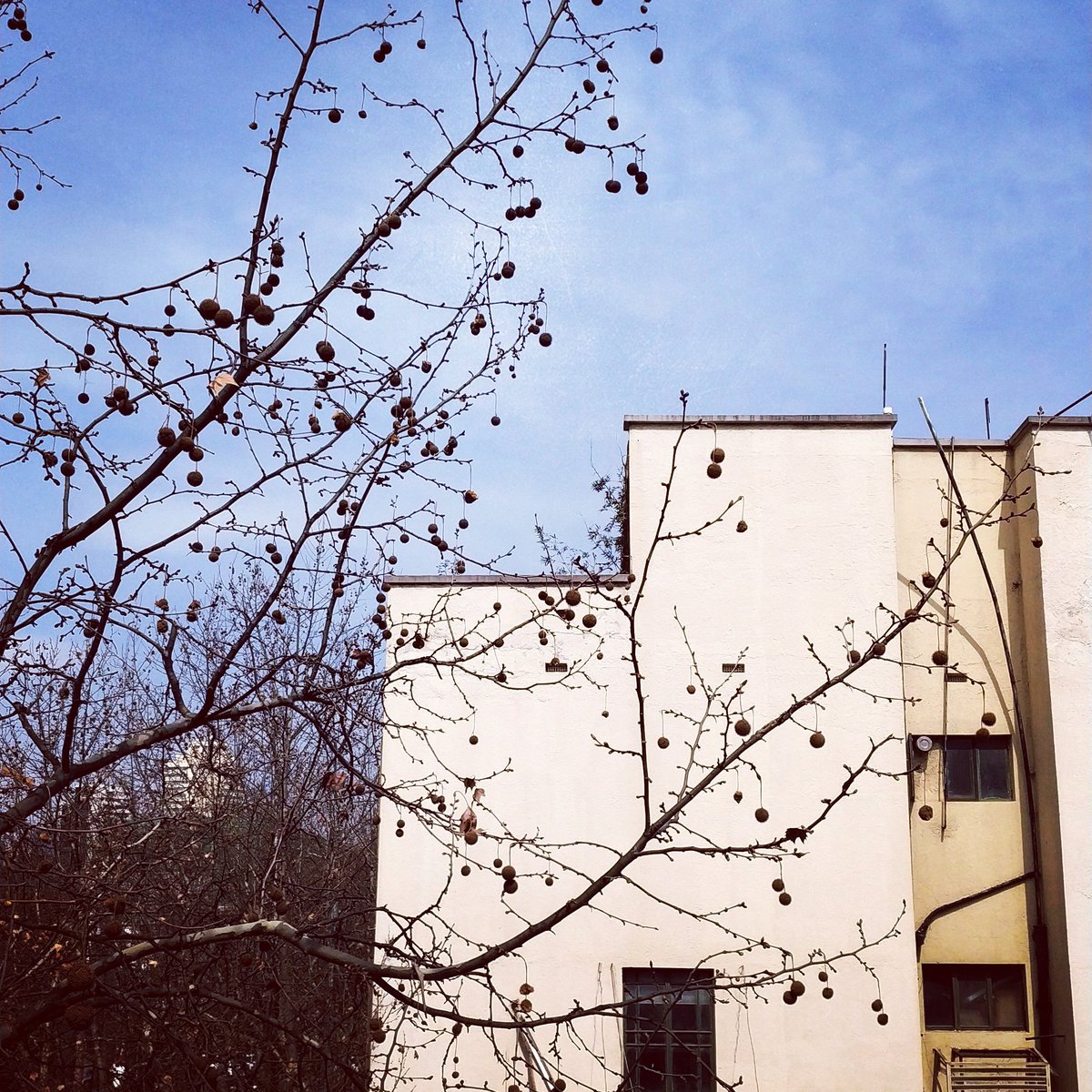 MsYijun's tweet photo. #ArtDecoLog 19/365 THE zigzag

#travel #city #artdecor #history #shanghai #love #photooftheday #followme #artdeco #shanghai1930s #msyijun #instapassport #thecreative #artofvisual #ig_masterpiece #interior #instahome #interior4all #decoration #furniture #interiorstyling https://t.co/6CgLf0Baon