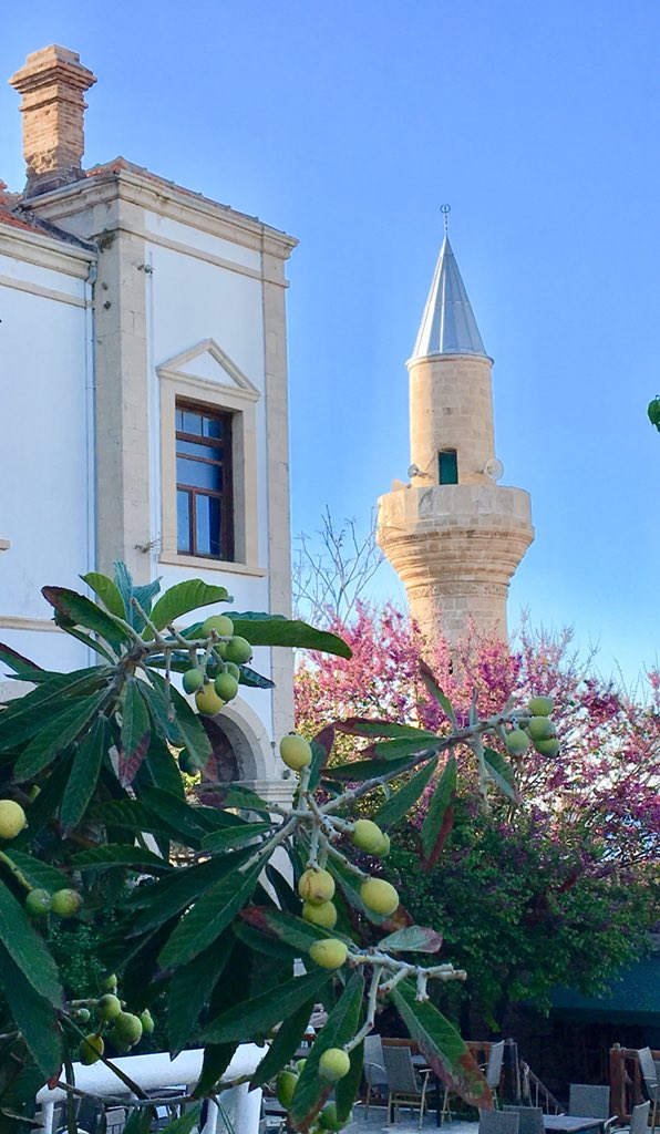 CTEResource's tweet image. Happy Hug a Muslim Day, from the Turkish Republic of Cyprus!