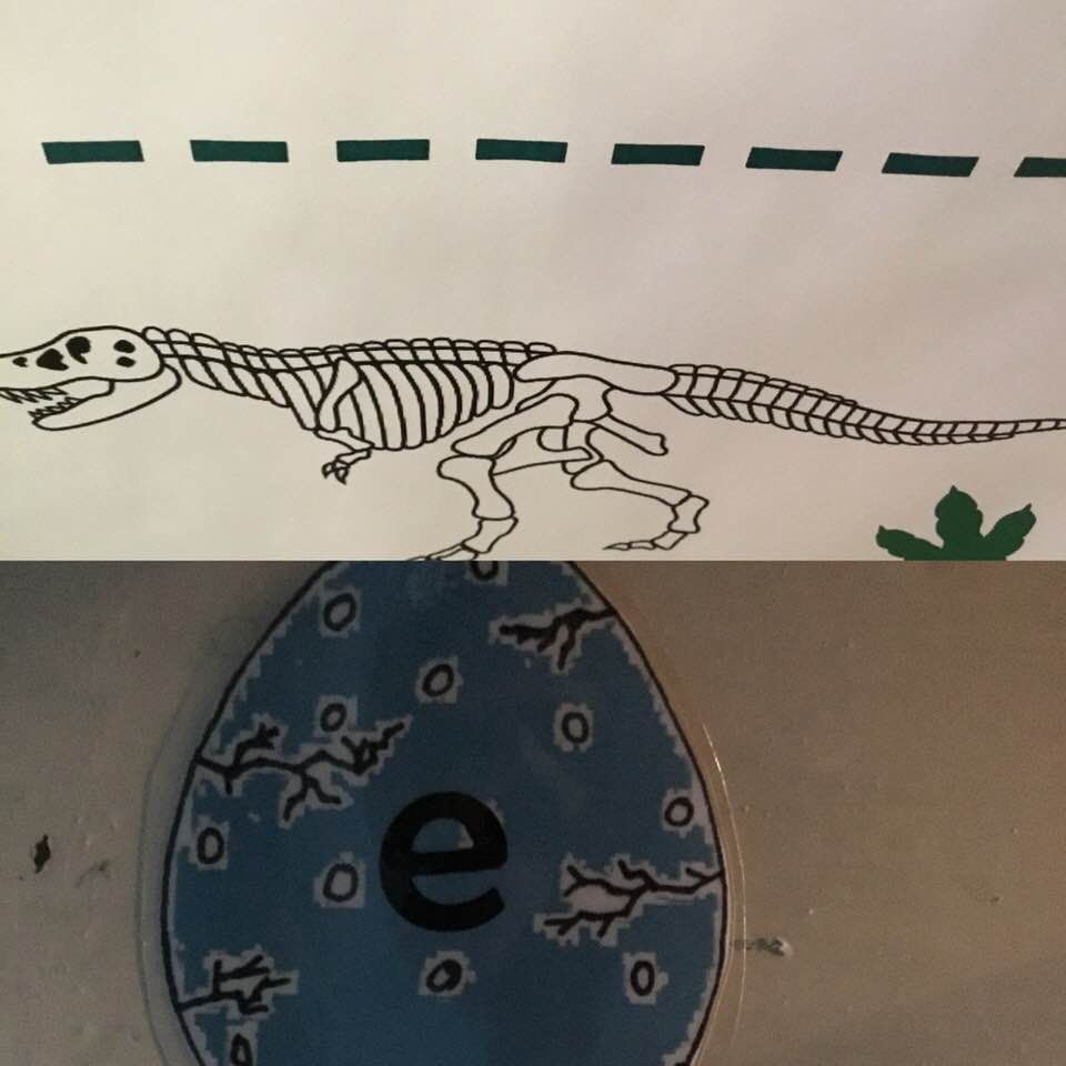 Palaontologisches Praktikum