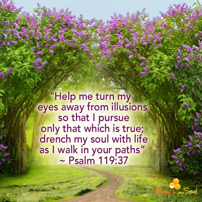 Honey4YourSoul's tweet image. &quot;God, all at once you turned on a floodlight for me!
   You are the revelation-light in my darkness,
   and in your brightness I can see the path ahead.&quot; Psalm 18:28
wwwHoneyForYourSoul.com
#GodsWord 
#GodWillGuide
#JesusChrist