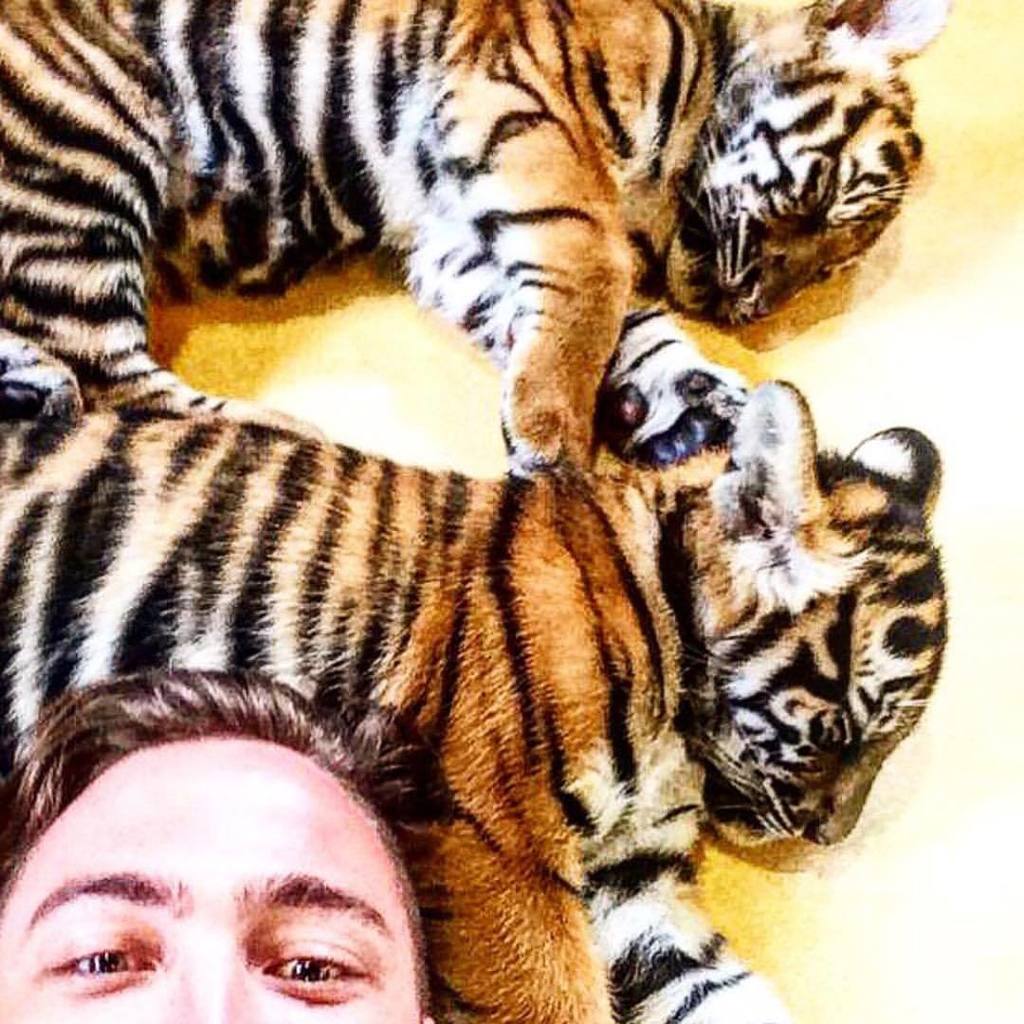 Check out my latest song
  “Wild One”

Link in bio