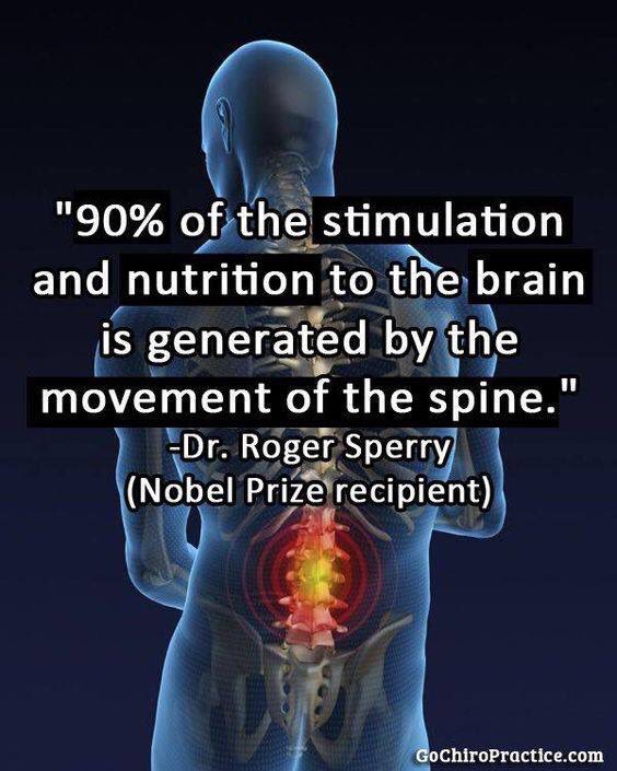 EliteCarePros's tweet photo. Get educated. Get chiropractic. #funfact #chiropractic #adjustment #spine #chiro https://t.co/jPdlmZMEJr