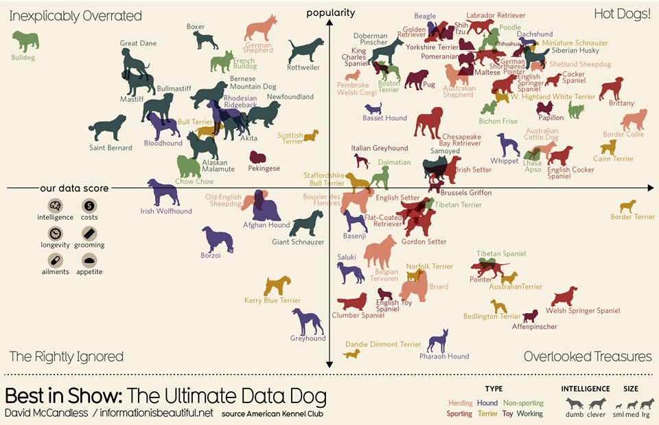 Dog Intelligence Chart