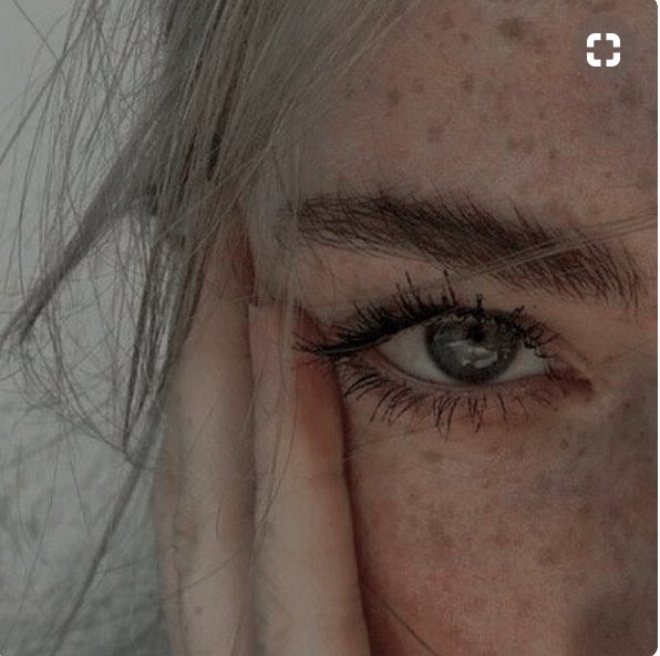 VEGAMOUR tweet media