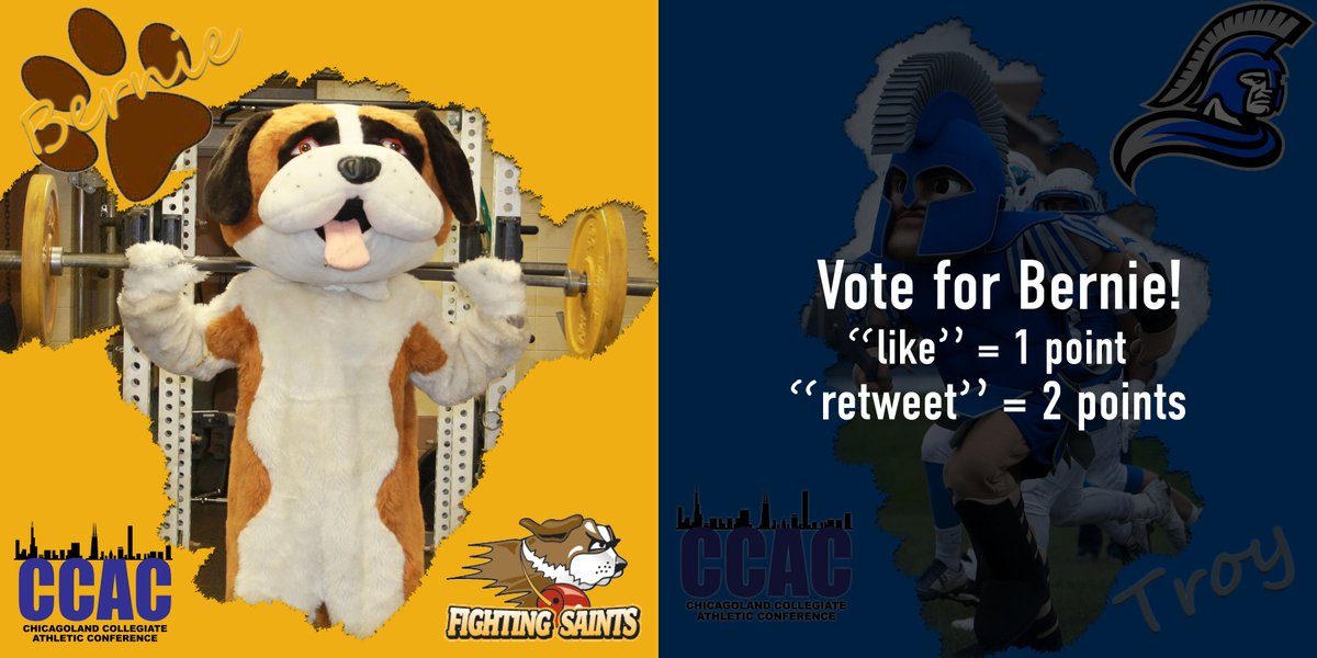 CCACSports's tweet photo. Quarterfinals of #CCACMascot Challenge
Bernie vs Troy
Vote for Bernie
"like" = 1 point
"retweet" = 1 points https://t.co/AuoZCD3KcI