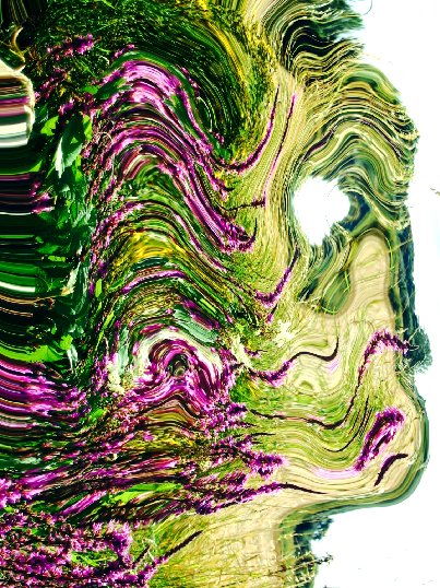 wildonrocket's tweet image. The Vegan Man