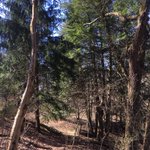 Photo by FallingRunGreenspace (@FallingRunTrail)
