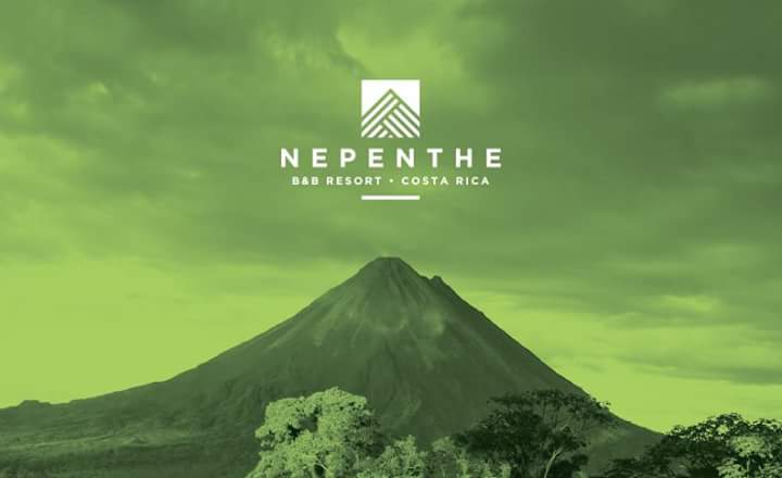 Bates_Design's tweet image. We love creating brands! What you see here is the pinnacle of all the work that went into the new branding of the Nepenthe Hotel in Costa Rica.

batesdesign.co.uk/nepenthe-hotel

Need more than just a logo for your business, get in touch with us!