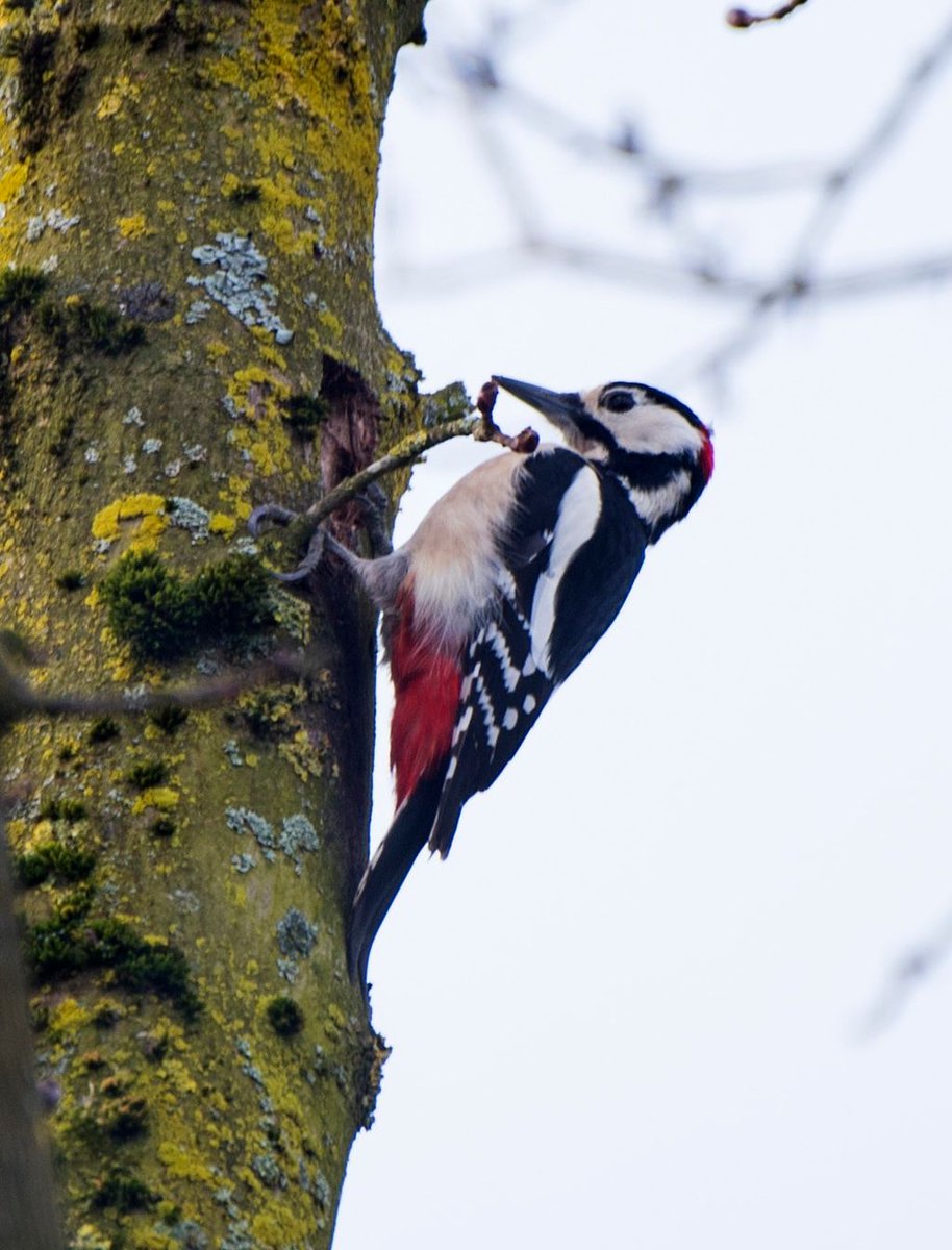 Bird Watching via <a href="/joopbruurs/">Joop Bruurs</a> #nature bit.ly/2IszbPD