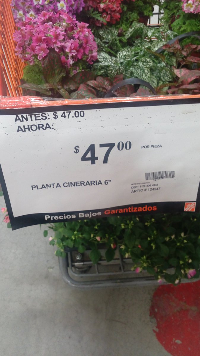 Héctor Sánchez tweet media