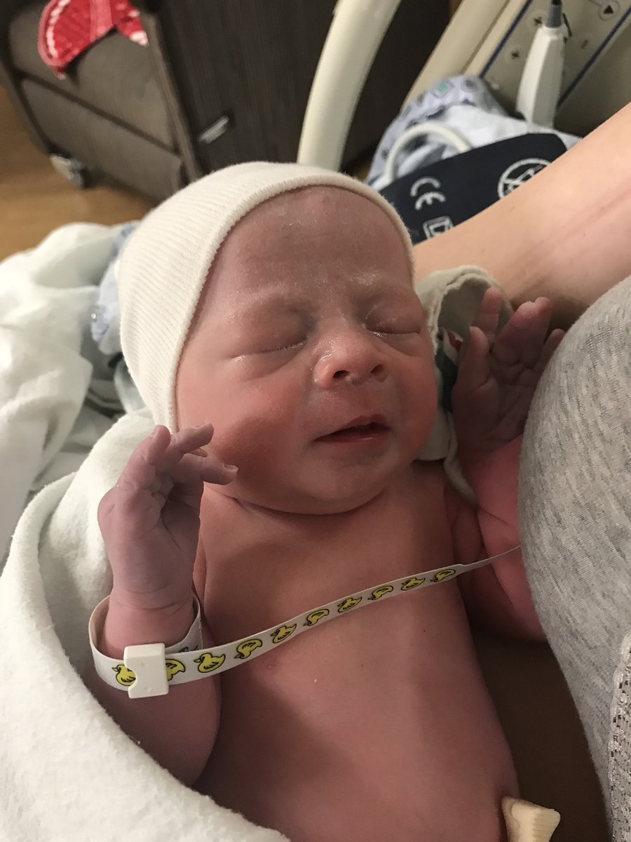 TheOnlySolly's tweet image. Welcome to this crazy world Kamdyn Marie Solitario