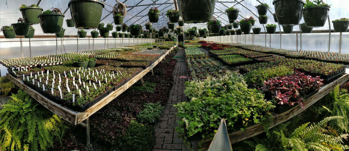 Kyle_Hagberg's tweet photo. Stayin busy 🌱🙏 https://t.co/80O6dd0knH