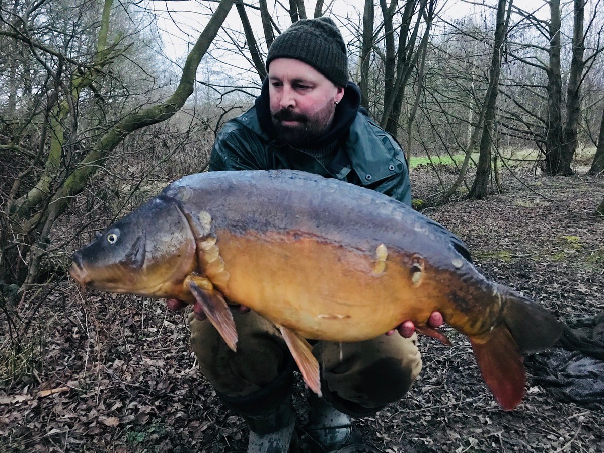 Proper Carp Baits tweet media