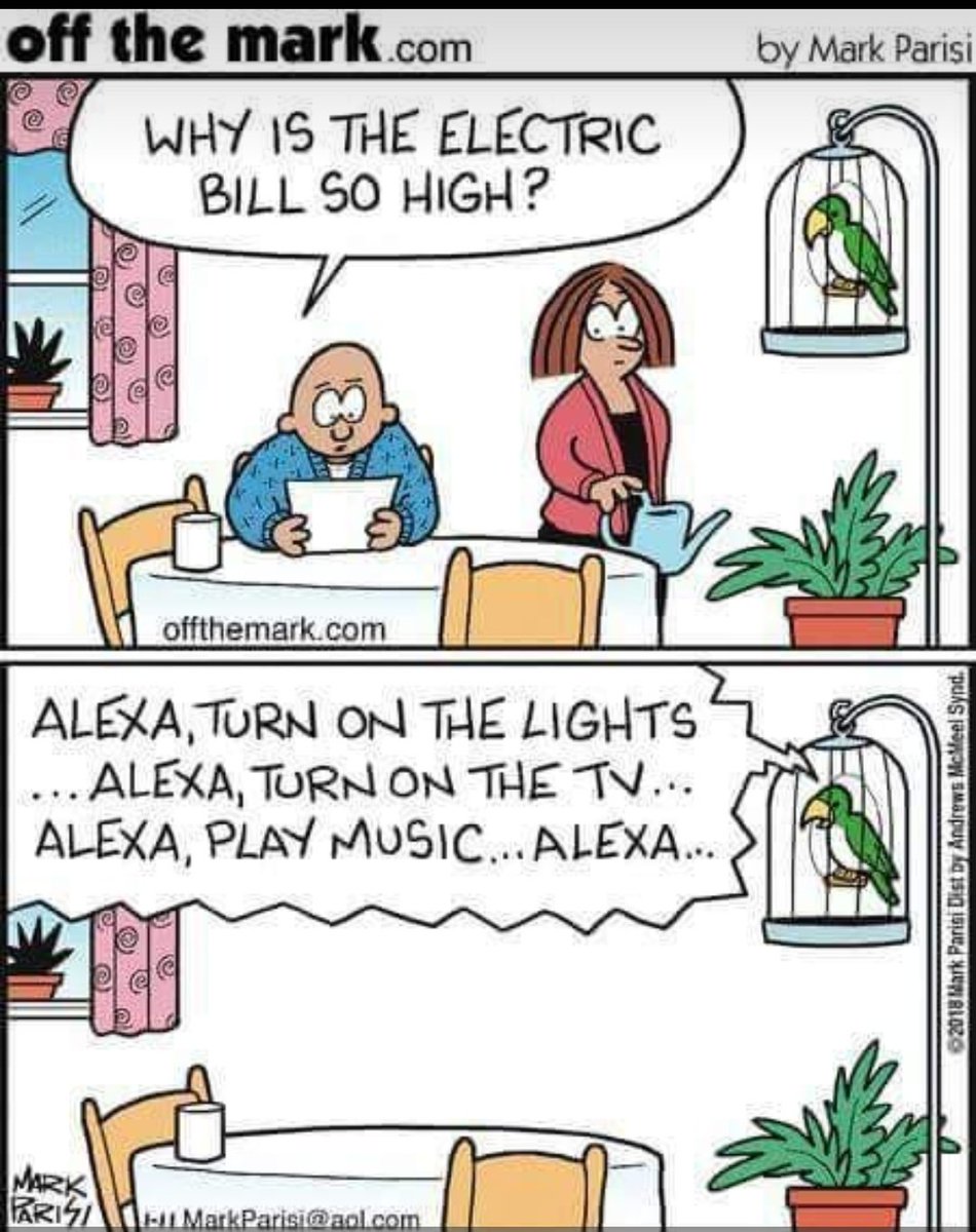 vpragyav's tweet image. bwaha ha! #smartbird #smarthomefails