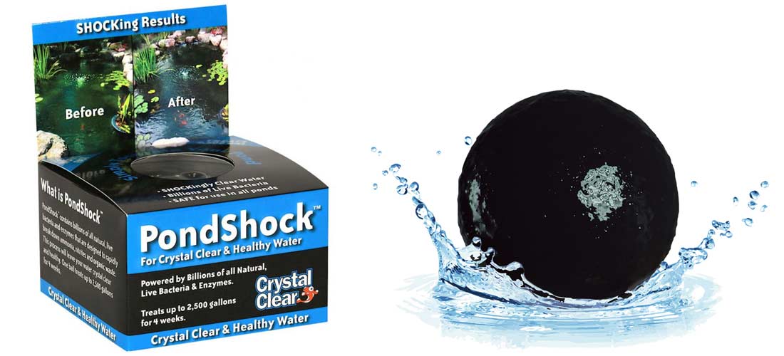 KoiPondExperts's tweet image. Spring Tips &amp;amp; New Pond Products For 2018 - mailchi.mp/3688b9dd7481/s…