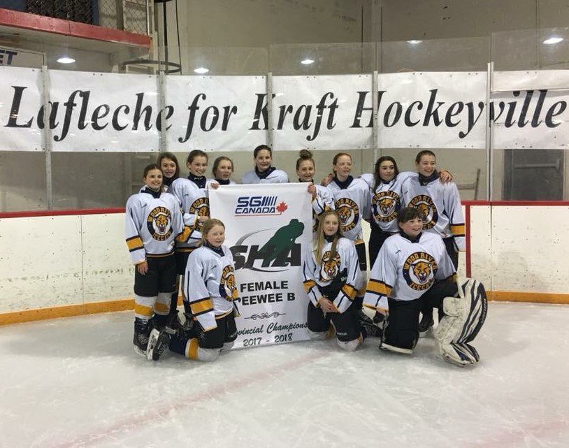 hockeysask's tweet photo. 🚨 @SGI_CANADA PROVINCIAL CHAMPION ALERT 🚨

YEAR: 2017-18
DIVISION: FEMALE PEEWEE B
TEAM: WOOD RIVER ICE CATS

Close series between the Wood River Ice Cats out of Lafleche and the Tisdale North East Aces! Great showing of sportsmanship by all those involved! #SaskHockey https://t.co/JZoC01TjHh