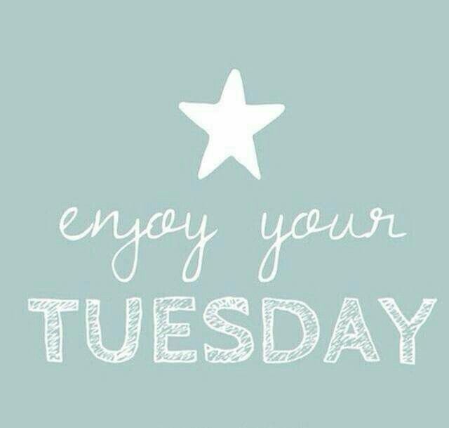 teamvandemyle's tweet photo. Happy Tuesday!! #goldenspikerealty #teamvandemylerealty #letsdothis #wecanhelp #timetosell #wefightforyou #timetobuy #letsdothis #funrealtor #realtorlife https://t.co/zf1f5Sal5G