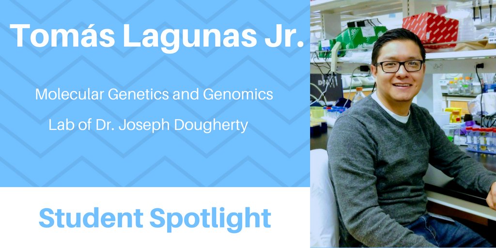 WashUdbbs's tweet photo. This month's Student Spotlight features Tomás Lagunas Jr., a Molecular Genetics and Genomics student in the lab of Dr. Joseph Dougherty (@CarpeRibosomam). Learn more about Tomás' research, hobbies, and advice for prospective grad students: https://t.co/gPKUm0nJrd | @WashUGenetics https://t.co/wCemmiEWuu