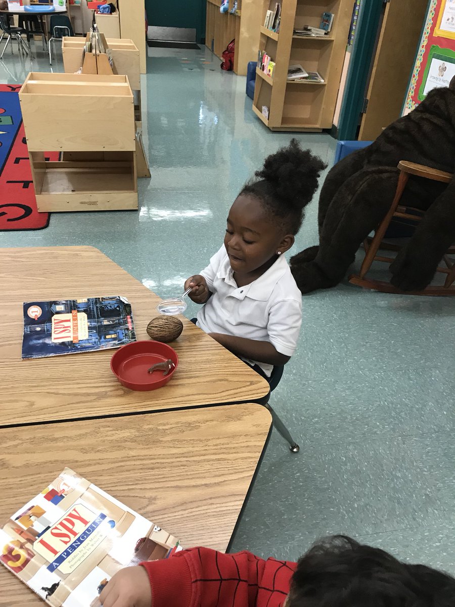 MsMary008's tweet photo. iPEEPS Investigating with magnifying lenses!@HCPSForestHills https://t.co/myYFicjiSp