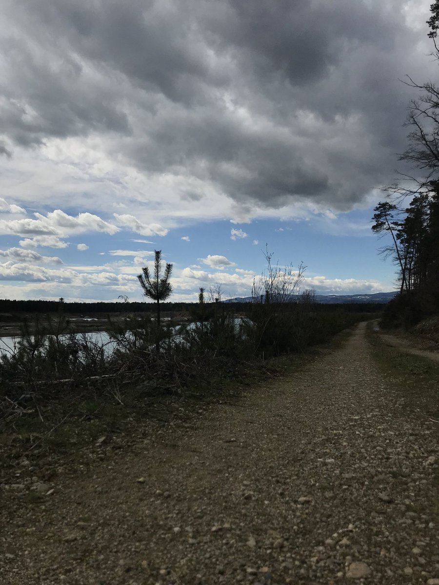 urskagros's tweet photo. Just beautiful 😊 #nature  #brunšvik #sloveniannature https://t.co/ZT1dM1JKLv