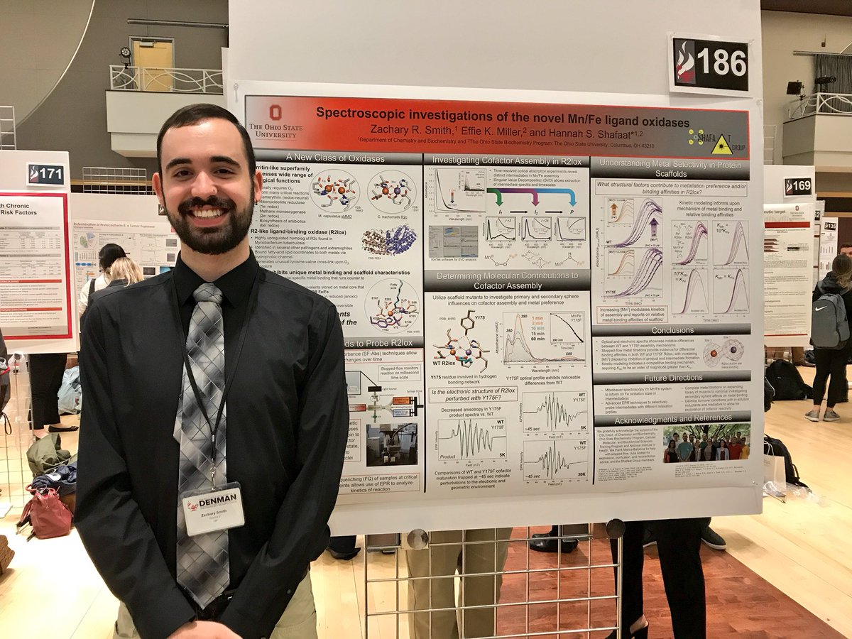 ShafaatLab's tweet photo. Congratulations to our undergrad Zach on his final Denman poster presentation! The R2lox project has definitely benefited from your work! @OSU_CBC #denmanosu #postertalks #UndergraduateResearch https://t.co/BXYb9Zj7CQ