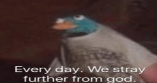 IniVLog's tweet image. Google "Bunny Token" and you won't be disappointed. #cryptocurrency #BunnyToken #facepalm #cantmakethisup