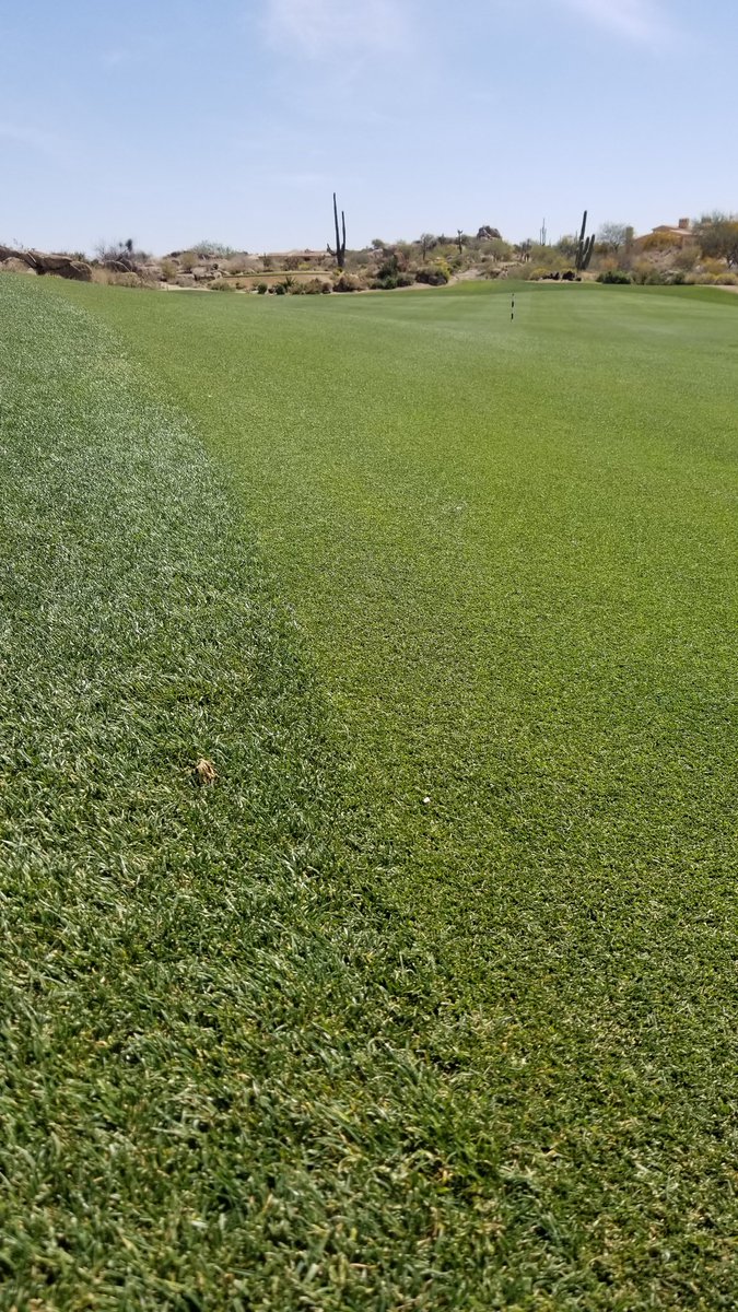Lowering heights week! .350 fwys, .750 rough. Looking good! #fastandfirm