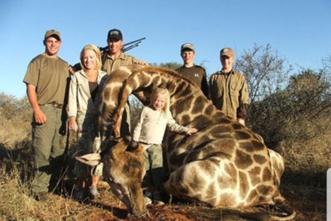 PROTECT ALL WILDLIFE tweet media