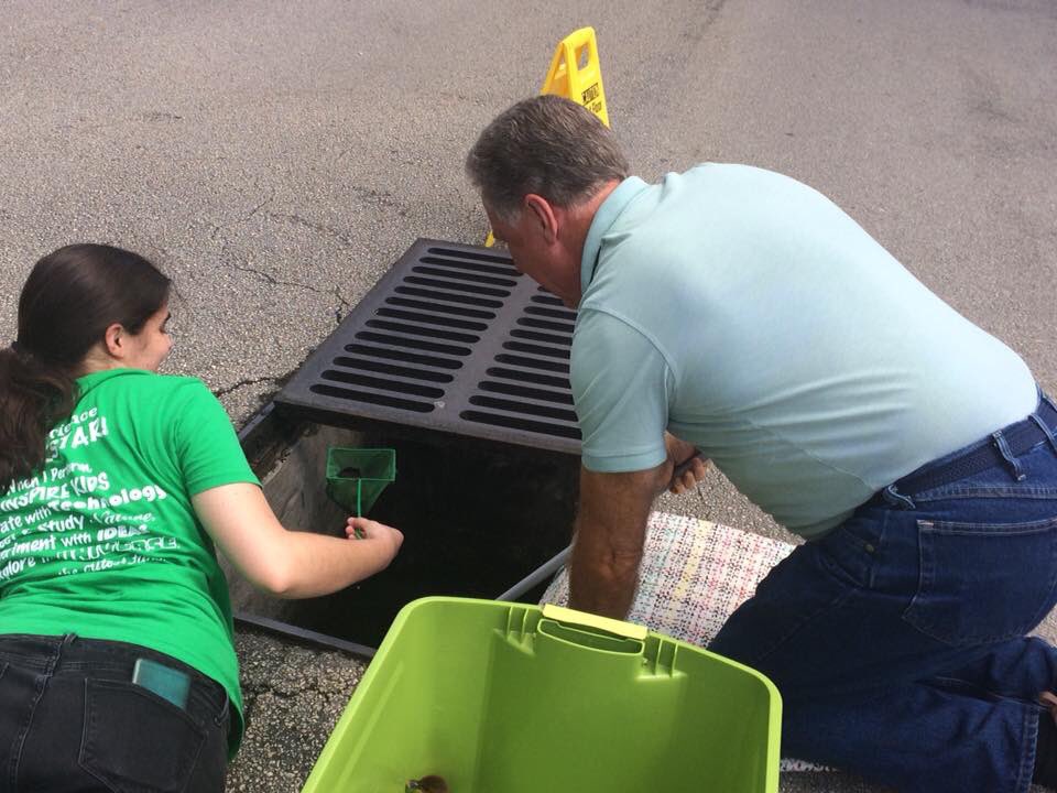 WackyScience's tweet image. This afternoon Quin found some ducklings 🐥 stuck in a storm drain! She collected them and dropped them off by the pond to be with their duck colony. 🦆 They are now safe and sound! Go team!