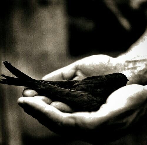 3zl_0's tweet image. وسلاما على من تذكرنا عندما نسينا الجميع
وأحبنا في لحظات ، كرهنا فيها أنفسنا
وكان لنا الملاذ ، عندما أردنا العزلة والإبتعاد .