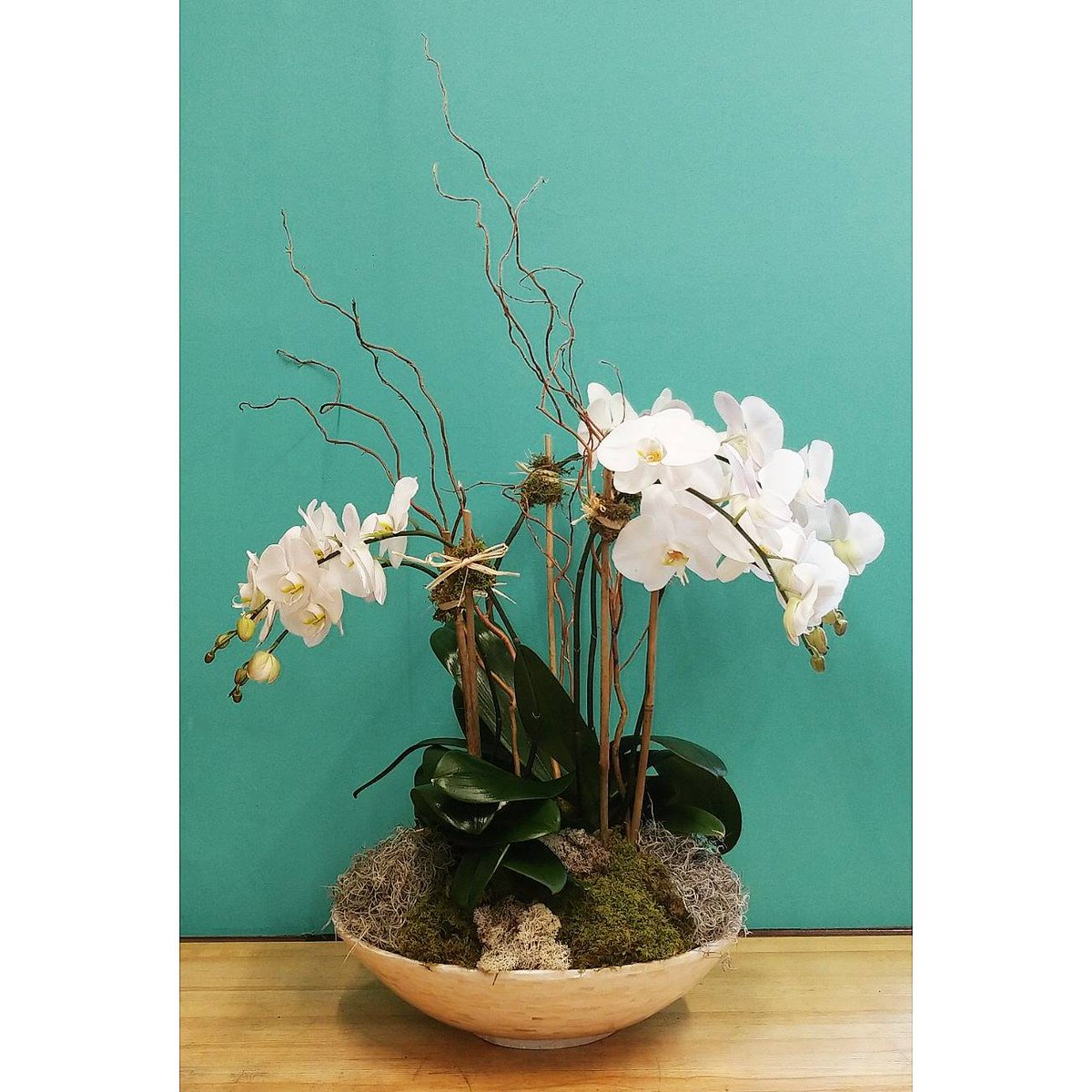 long_stems's tweet photo. A simple but stately arrangement of multiple live #phalenopsis can amplify the elegance of any room 🌸🌿 #floraldesign #localbusiness https://t.co/fBkvWMEr9w