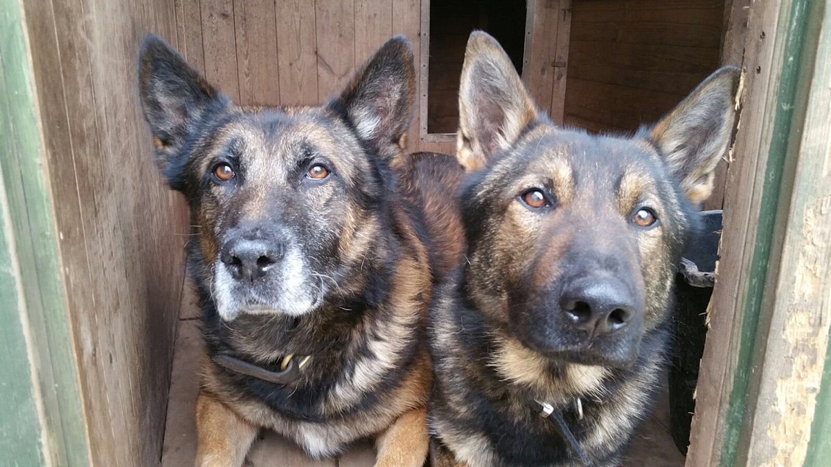 RpdKato's tweet photo. If you need any advice PD Ryker, give me a shout! https://t.co/tGinfUCGS9