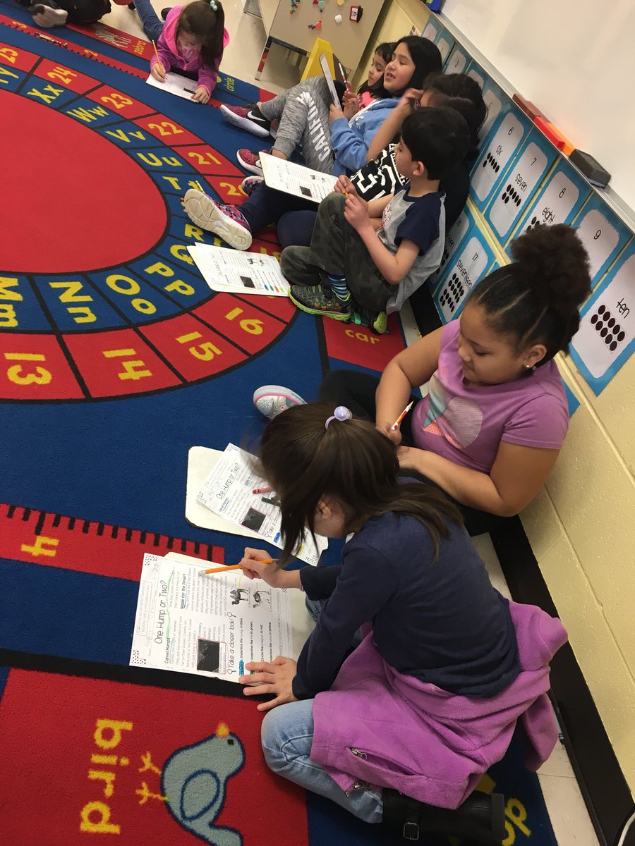 MissGrady123's tweet photo. After underlining and circling all of our text features, we read our Camel story as a class &amp; now it’s time to read with a partner! Who can find the heading that will help us answer our question about Camel eyelashes?! #d123 #d123han #textfeatures https://t.co/Bp4RtSPse5