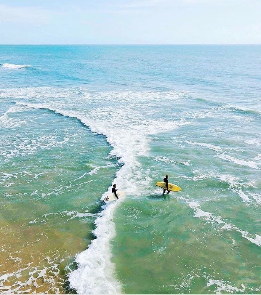 ncoutdoorsusa's tweet photo. Wild shot from @vagabond3 overlooking the Carolina Beach surf in Pleasure Island, NC. Love this #ncoutdoors shot! Tag us in your photos to be featured! 🌲🌊🏞 . . Photo selected by: @northcarolinaoutdoors_ . . . #northcarolinaoutdoors #ncnature #surfnc #northcarolina https://t.co/KgvTexsntW