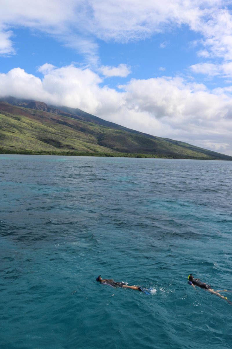 Molokai Visit Assoc On Twitter Have You Ever Gone Snorkeling On Your Visit To Molokai It S An Amazing Experience That You Should Add To Your Bucket List You Can Find More
