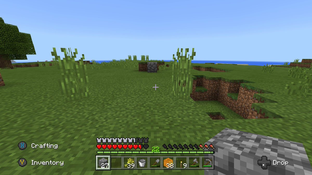 Redstone600's tweet image. CLUE! as I was laying down stones to mark my way I came across a single cobblestone in the middle of a field! I have been here before! #minecraft RT follow me as I find my way :)