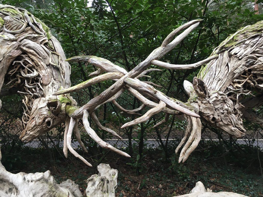 sculpture_park's tweet photo. Spectacular, amazing value one of the most wondrous attractions in Surrey,  One minute your making your way through ferns, then, a wooded oasis, then alongside a #picturesque lake. Deserves its place amongst the top things to do in #Surrey/ #SouthEast.” https://t.co/hgnrJVqvmR https://t.co/WW0NCRNpIa