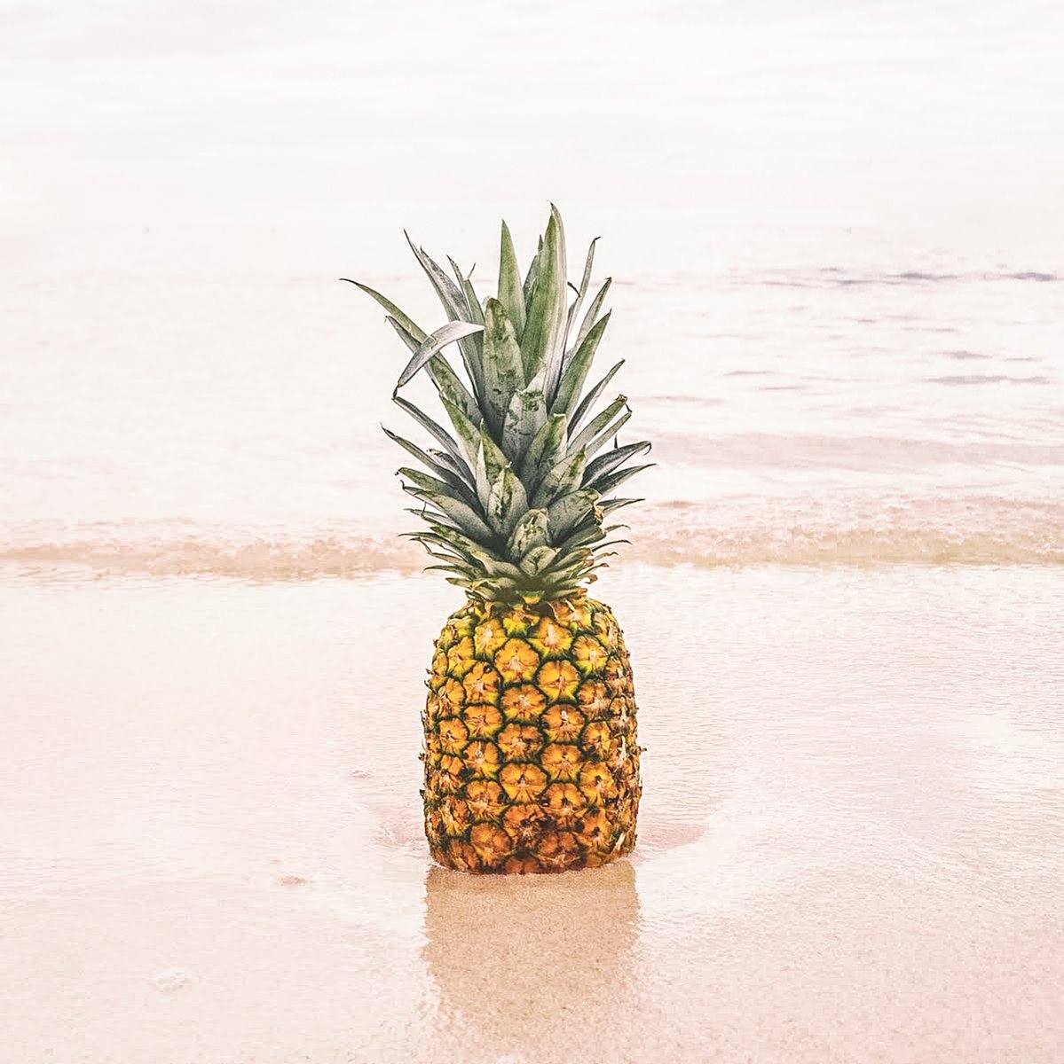 A pineapple a day keeps the worries away! Happy Tuesday! #pineapplelife #tropicalvibes #tropicalinspir