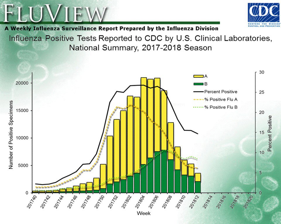 CDCFlu's tweet photo. In recent weeks, influenza B viruses have been more frequently reported than influenza A viruses. However, illness associated with influenza B can be just as severe as illness associated with influenza A. Learn more: https://t.co/RrMnvXUehV https://t.co/OYYkeBAhfK