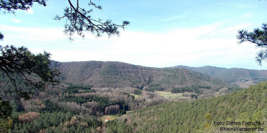 RheinWanderer's tweet photo. #Wandern im #Felsenland bei #Dahn: Eine abwechslungsreiche #Wanderung im #Pfälzerwald bietet der #Buntsandstein-Höhenweg rund um #Dimbach: https://t.co/LtLDXyernn Foto: Blick vom #Dimberg. Mehr bei dazu bald hier: https://t.co/dmh05EUFUc #Pfalz, #RLPerleben https://t.co/VBpLigRdSS